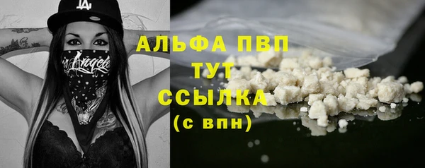 молекула духа Надым
