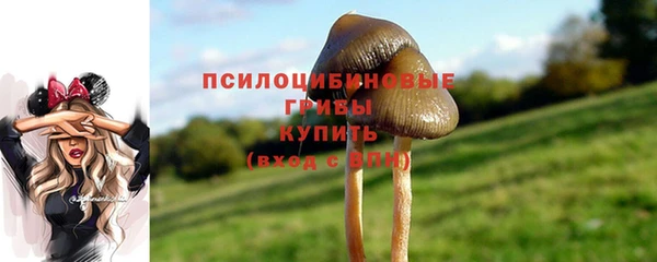 молекула духа Надым