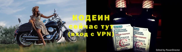 молекула духа Надым